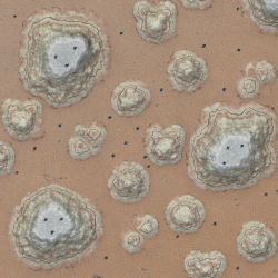 The Desert Triad Remake v1.0